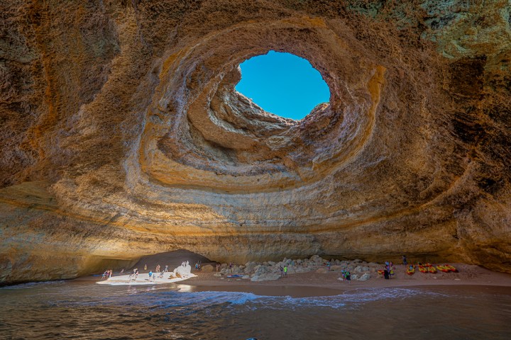 a close up of a horse