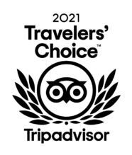 tc_2021_l_transparent_bg_rgb-01 (1) shape
